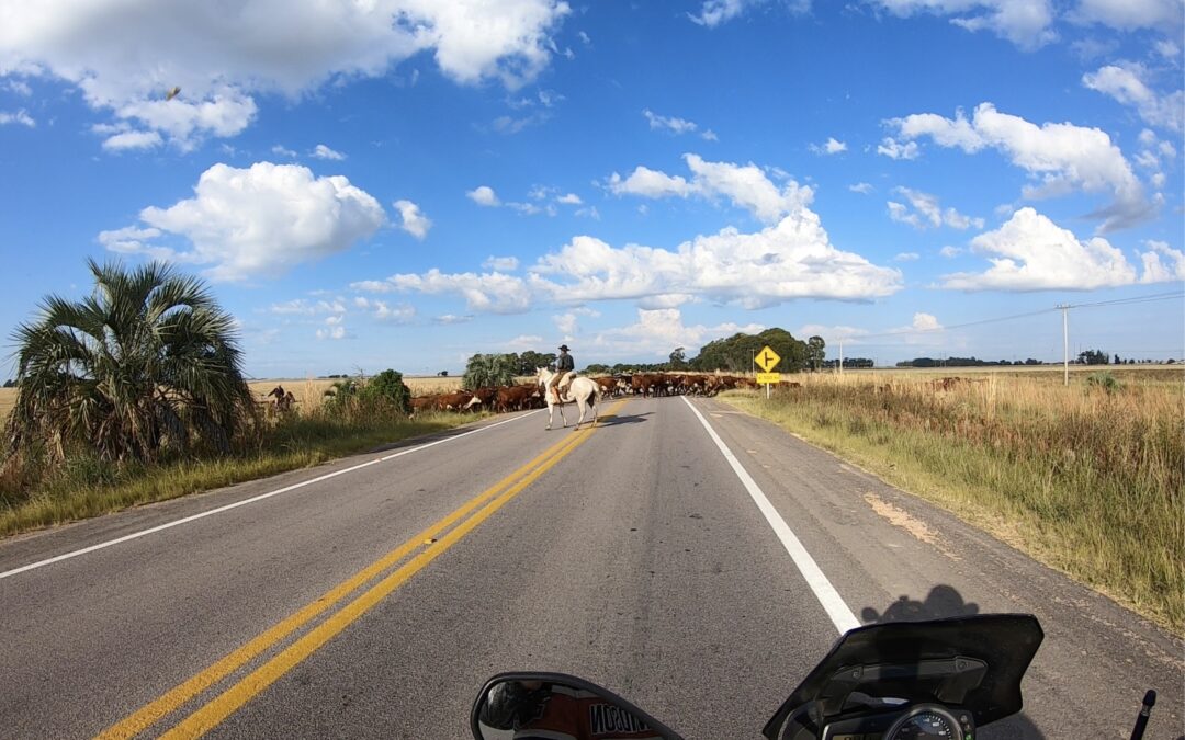 What to Know Before Embarking on a Road Trip in Argentina